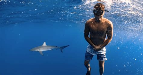 testing of sharks can smell a drop of blood|Man tests if sharks can smell a drop of blood from a .